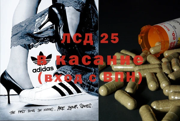 2c-b Беломорск