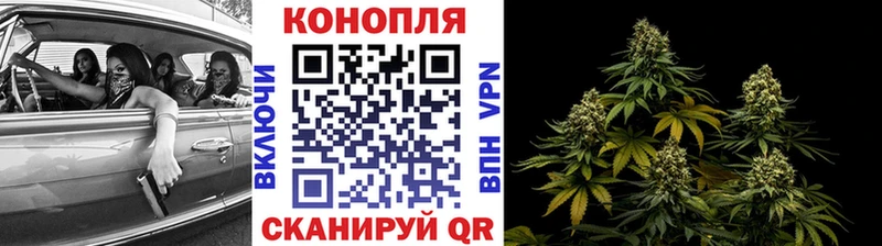 Бошки Шишки план  Реж 